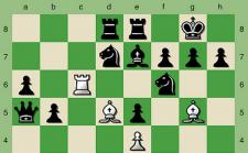 Learning the game of Chess – meet the game piece players